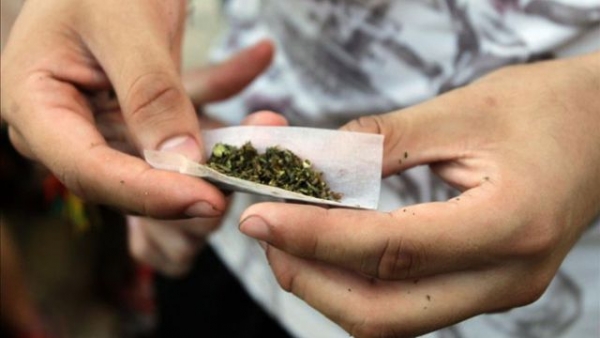 En Salta aumentó el consumo de marihuana y se reduce la edad de inicio en las drogas