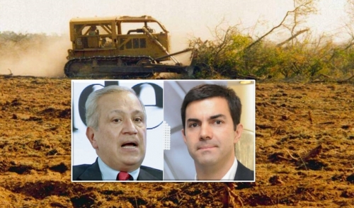 Salta con la tasa de deforestación más alta del mundo