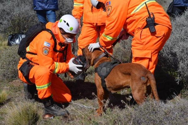Podría ser Maldonado. Comunicado de prensa: Fiscalía Federal de Esquel