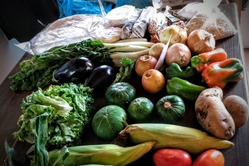 “Todxs unidxs morfaremos”: la propuesta para abaratar costos y apoyar la producción local