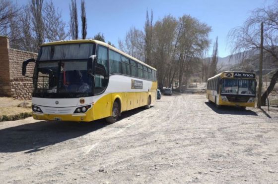 Ballotage 2023: El transporte de colectivo será gratuito en toda la provincia