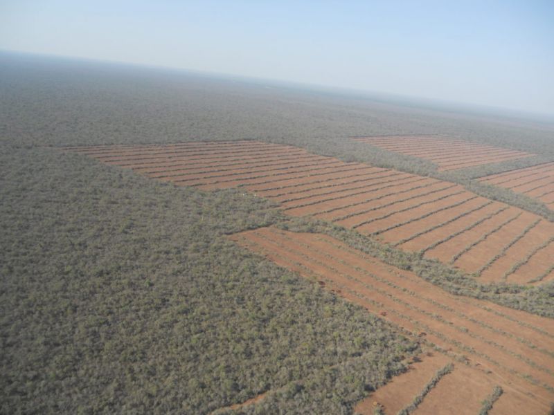 Especialistas advierten en Salta la falta de políticas ambientales