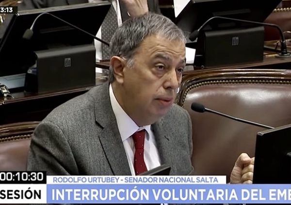 Rodolfo Urtubey: “Hay algunos casos donde la violación no tiene esa configuración clásica de la violencia sobre la mujer”