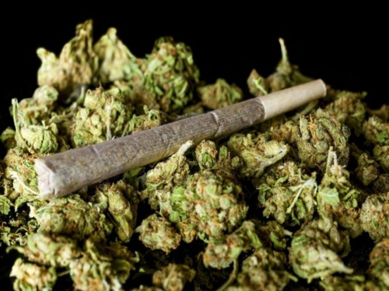 Fueron a notificarlo y le encontraron mil cigarrillos de marihuana