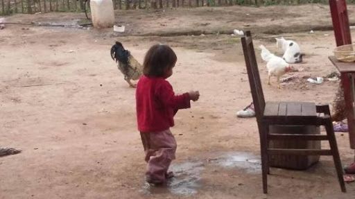 En Salta hay niños que mueren de hambre y finqueros que exportaron 993 millones de dólares