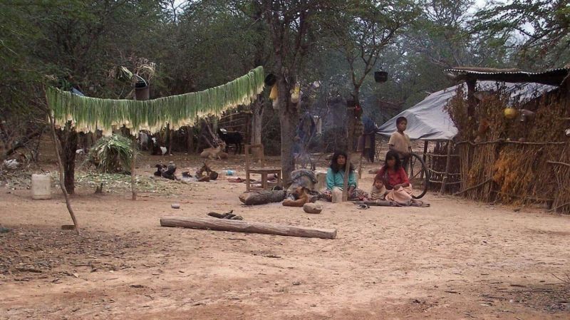 Cien investigadores alertan sobre la situación de los pueblos originarios ante la pandemia