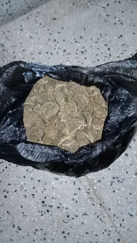 Policía secuestró más de dos mil dosis de marihuana en Aguas Blancas
