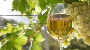 Proponen instituir la Semana del Vino Torrontés de Altura