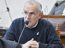 Gauffin: “La reforma de la Constitución es amañada y hecha a la medida de determinados grupos a los que les interesa que esté bastante acotada”