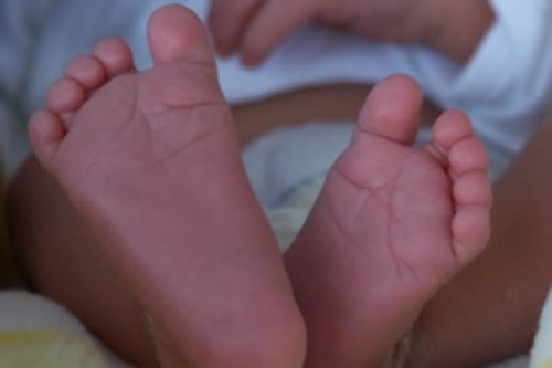 14,1% es la tasa de mortalidad infantil en Salta