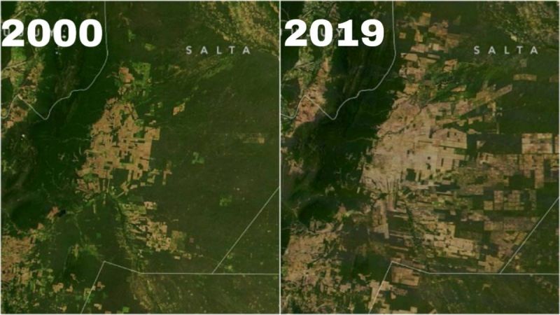 “Salta es cómplice de un crimen ambiental”