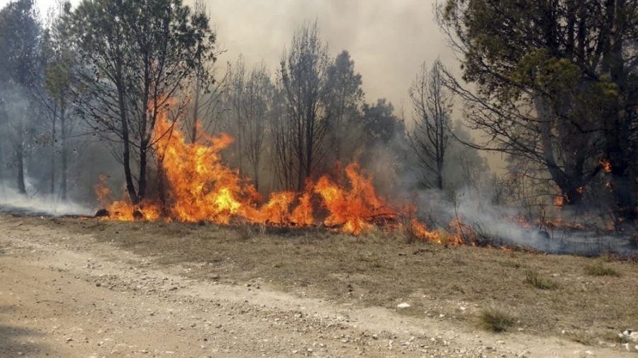 Cuatro provincias tienen focos activos de incendios forestales