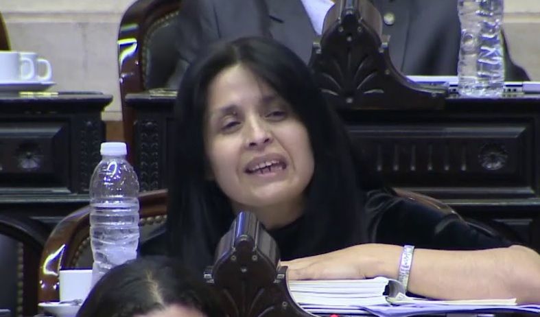 “El presidente Alberto Fernández nunca tuvo hijos y entenados porque a cada provincia les llega lo que corresponde y la Salta no fue la excepción”