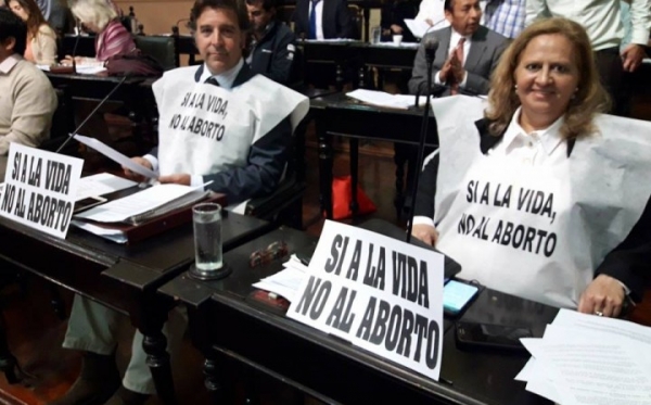 Diputados salteños quieren “expresarse a favor del derecho a la vida”