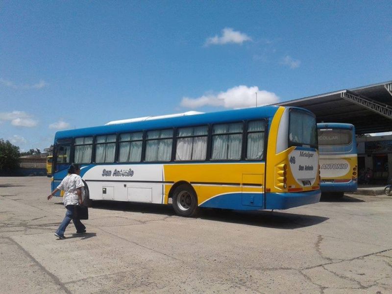 Boleto Gratuito Estudiantil: Estos son los plazos para acceder al beneficio en el interior