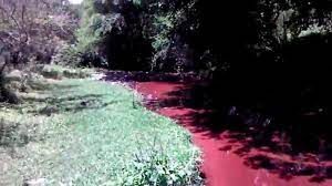 Mañana vence el plazo para que la empresa Lauju presente los informes de impacto ambiental pertinentes por la contaminación del arroyo Isasmendi