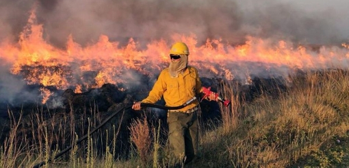 Tartagal: Se investiga un supuesto incendio intencional