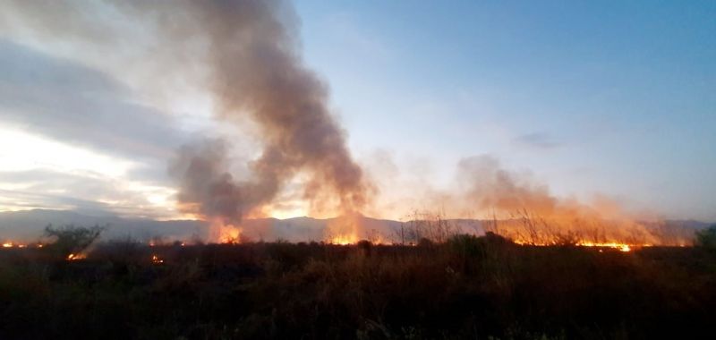 Incendios forestales: alertan sobre el peligro para la salud