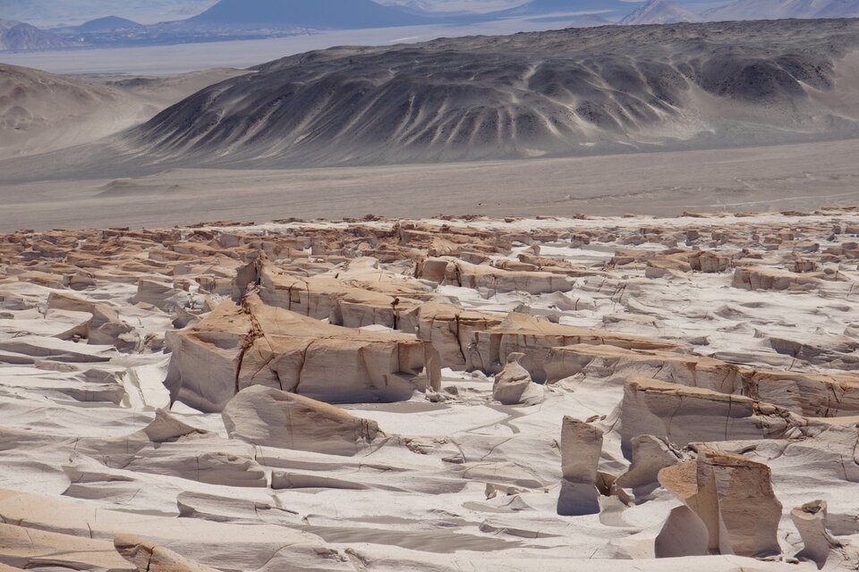 Quieren instalar la Puna Argentina como región turística