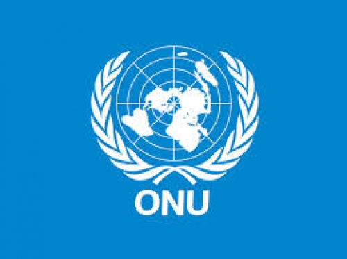 Informe anual de la ONU destaca que se detectó en Salta un centro de elaboración de cocaína