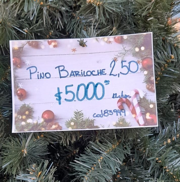 Privilegios: Hasta $70 mil por un árbol de Navidad