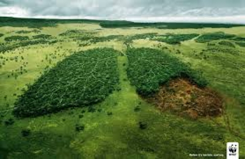 Conocé cómo será #PlanetaVerde, el festival ecológico más grande de Salta