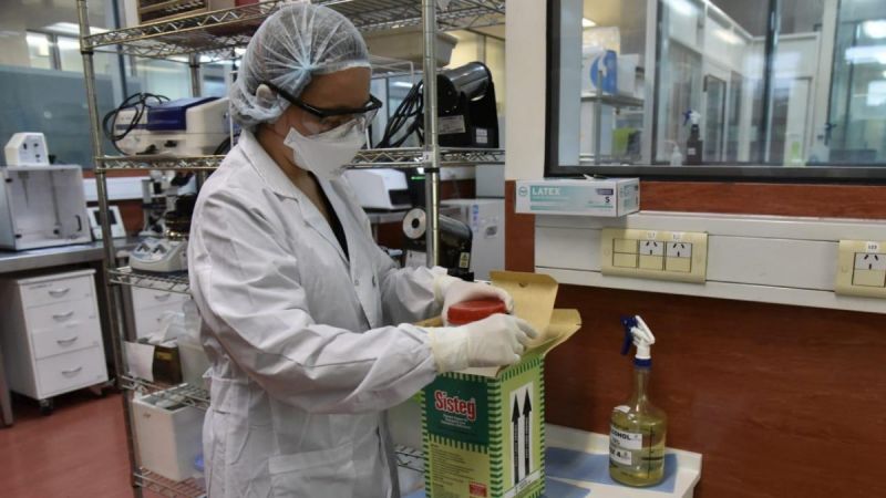 El gobierno ya descentralizó los testeos en 10 laboratorios y llegará, en una primera etapa, a 35