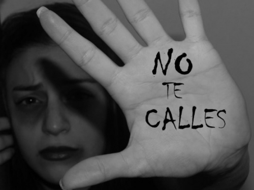 938 causas por violencia familiar y de género ingresaron a los Juzgados en noviembre