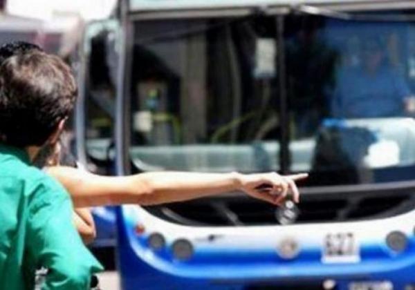 La Municipalidad insiste con prohibir los colectivos en el centro