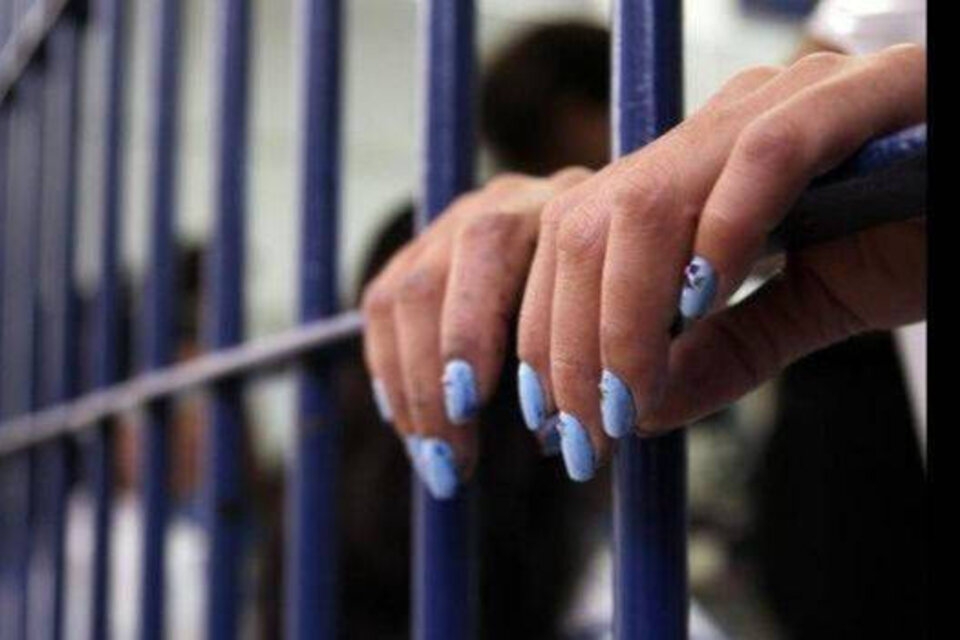 Mujeres condenadas: Entraron a un negocio pretendiendo comprar un vodka, ataron a la empleada y le robaron todo el dinero