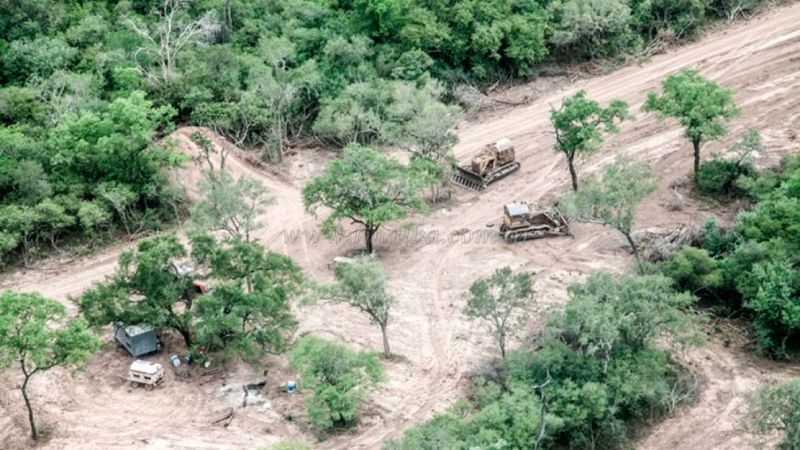 Paralizan desmontes ilegales en 546 hectáreas de siete departamentos salteños