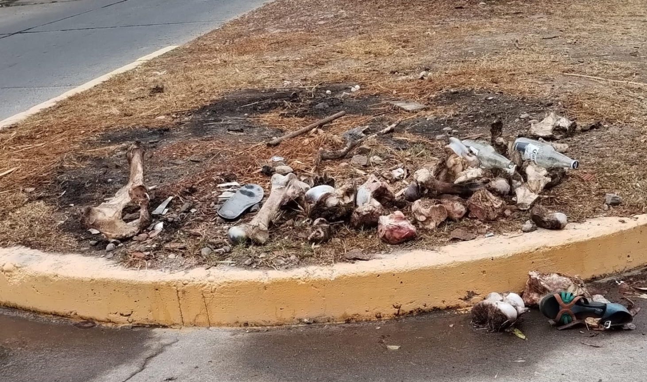 Sancionaron a fábrica de embutidos por arrojar restos a la vía pública