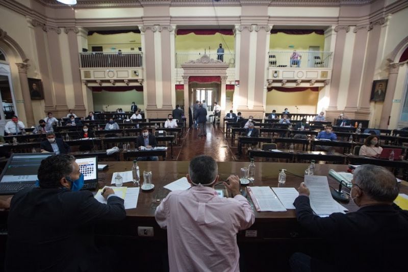 Del Plá reconoció que los asesores de la Cámara están precarizados