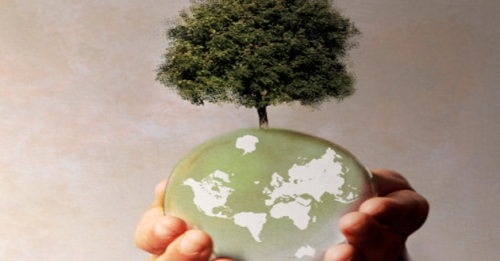 Crónica de un "ecocidio"