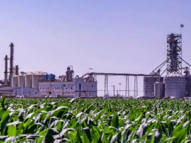 Preocupa el impacto ambiental de la producción de biocombustible