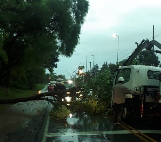 Una fuerte lluvia sorprendió a Salta durante la madrugada y hubo anegación en algunas rutas