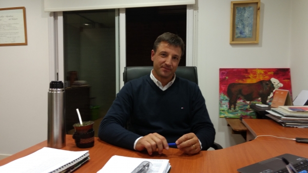 Prohibición de desmontes: productores salteños con el grito en el cielo