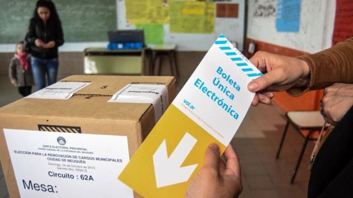 La organización de una elección en pandemia "es el gran desafío de este año"