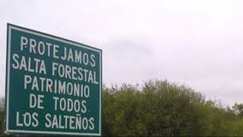 IRSA debe pagos de canon por Salta Forestal