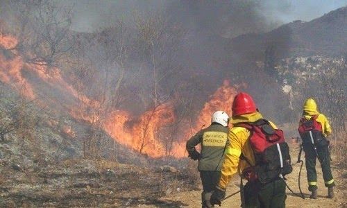 Más de 149 hectáreas se quemaron en lo que va del año