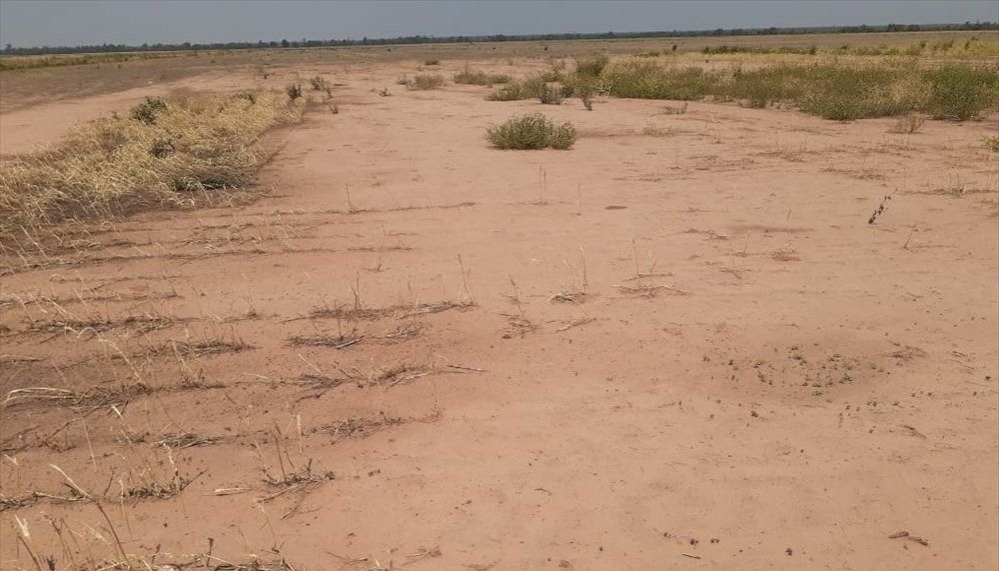 Declaran emergencia agropecuaria en Jujuy, Salta y Neuquén
