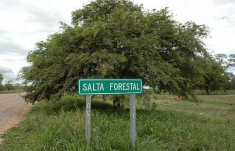 Proponen que cada familia de Salta Forestal reciba 600 hectáreas