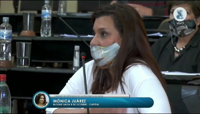 Para Juárez, “este gobierno hizo un cambio sustancial” en materia de minería