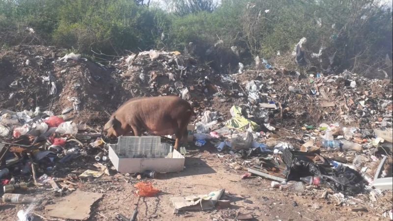 Conforman consorcios entre municipios para erradicar basurales a cielo abierto