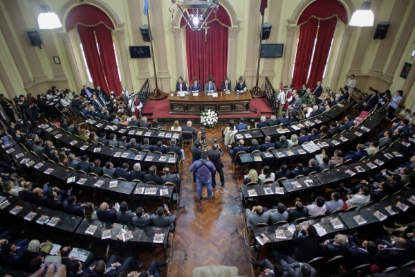 Martinelli, Abel Cornejo, Sáenz y Chibán en contra de la reforma constitucional; Posadas a favor