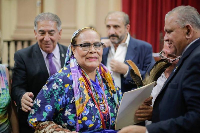 Ley Indígena: "Que se nos desproteja territorialmente sería un crimen de lesa humanidad"