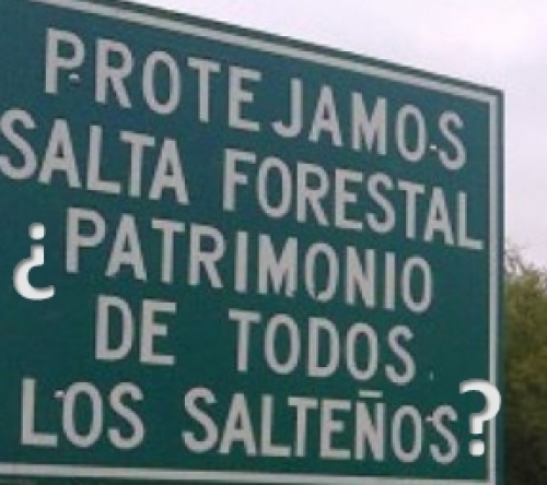 Lo que devolvió Olmedo de Salta Forestal ahora se lo dan a la empresa AGSOF SA, de un “tal Medina”