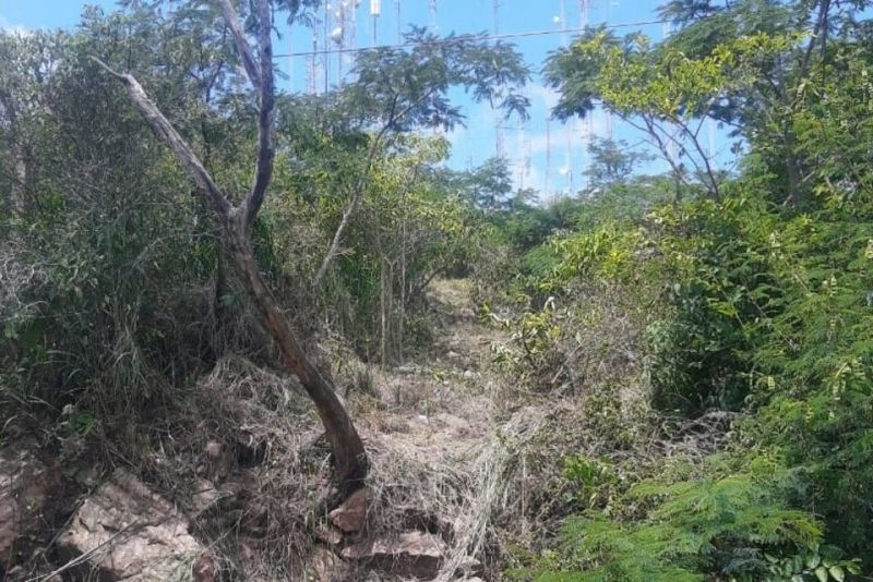 Detuvieron un desmonte ilegal de la familia Ragone en el Cerro 20 de Febrero