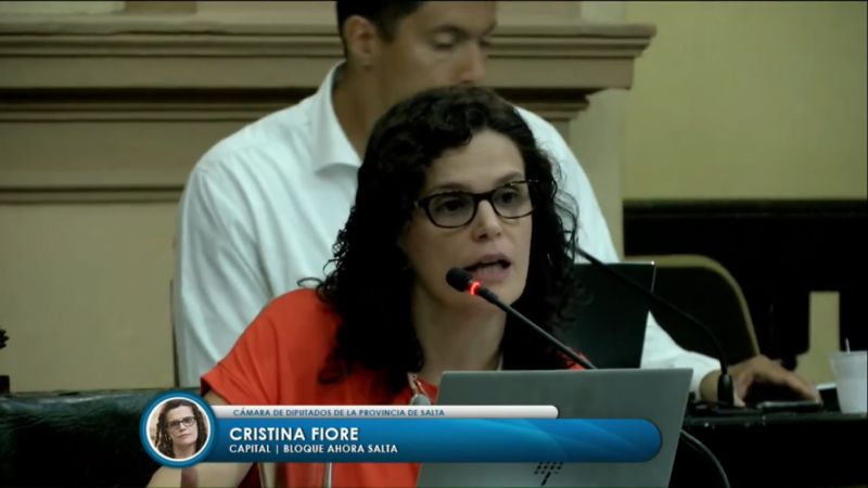 Con algo de criterio, Fiore pidió que las exposiciones de ministros no coincidan con los días de sesión
