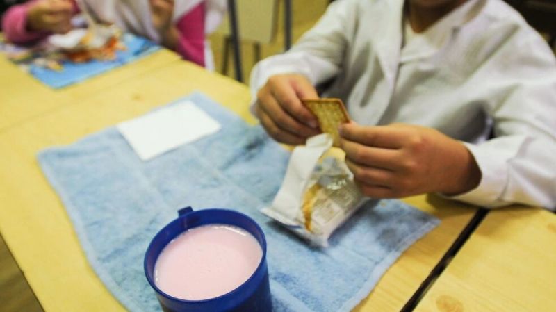 La Copa de Leche no llega a las escuelas